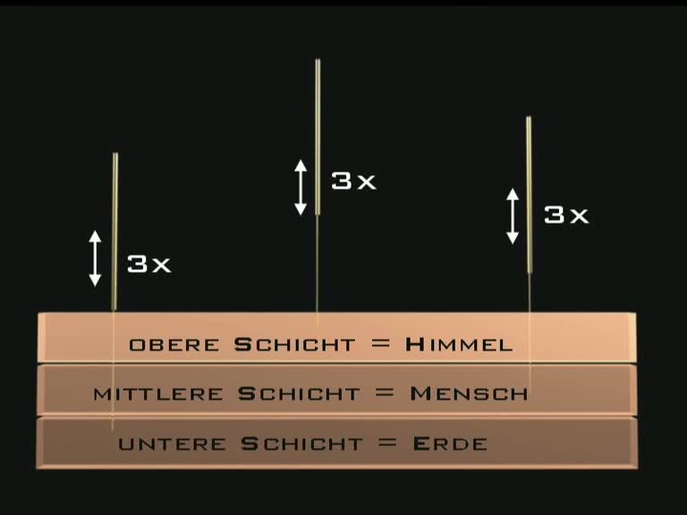 muskelschichten nadelstich