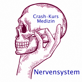 Crash Kurs Medizin: Nervensystem
