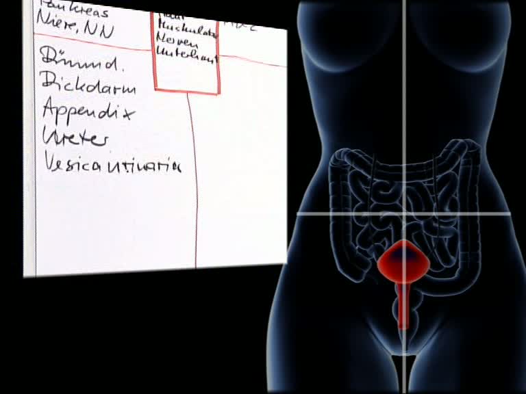 abdomen rechter unterer quadrant