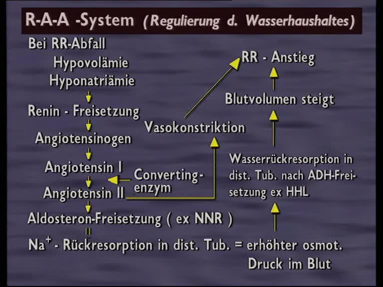 raa-system 