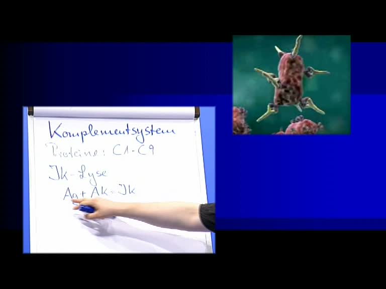 komplementsystem 