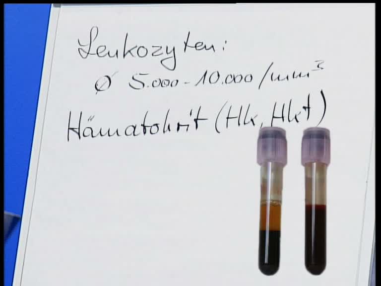 haematokrit