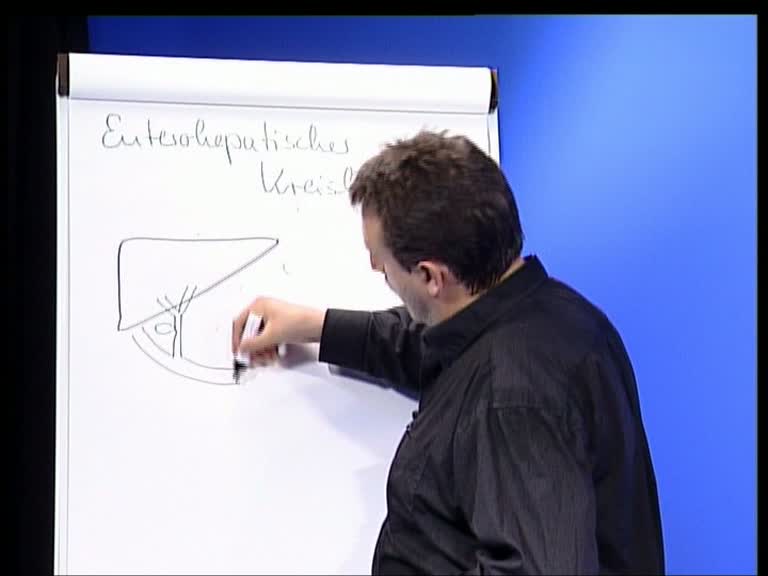 enterohepatischer kreislauf 