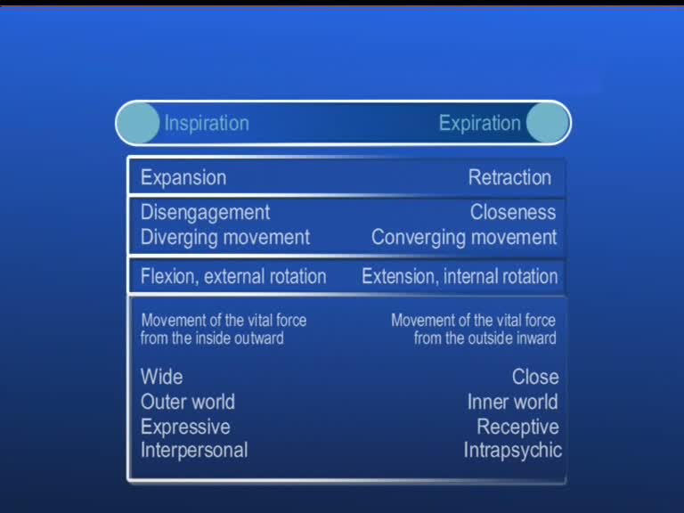 phases of primary respiration called inspiration- and expiration phase