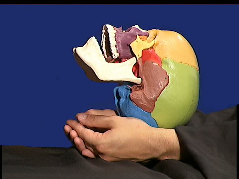 suture cervical spinous process