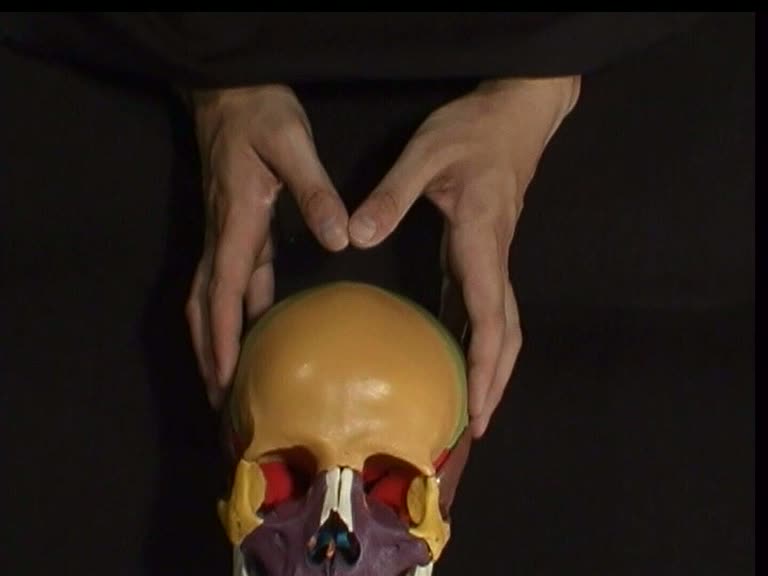 parietal lift technique hand position parieto-squamous suture