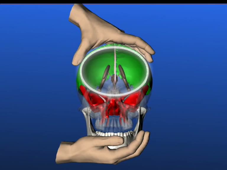 anterior dura girdle according to Jelous fluid membranous structure
