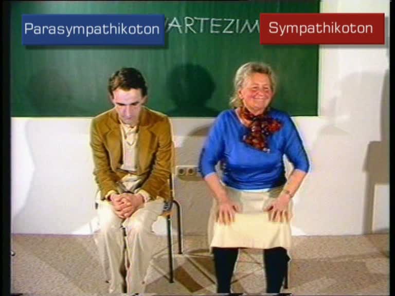 parasympathikoton sympathikoton 