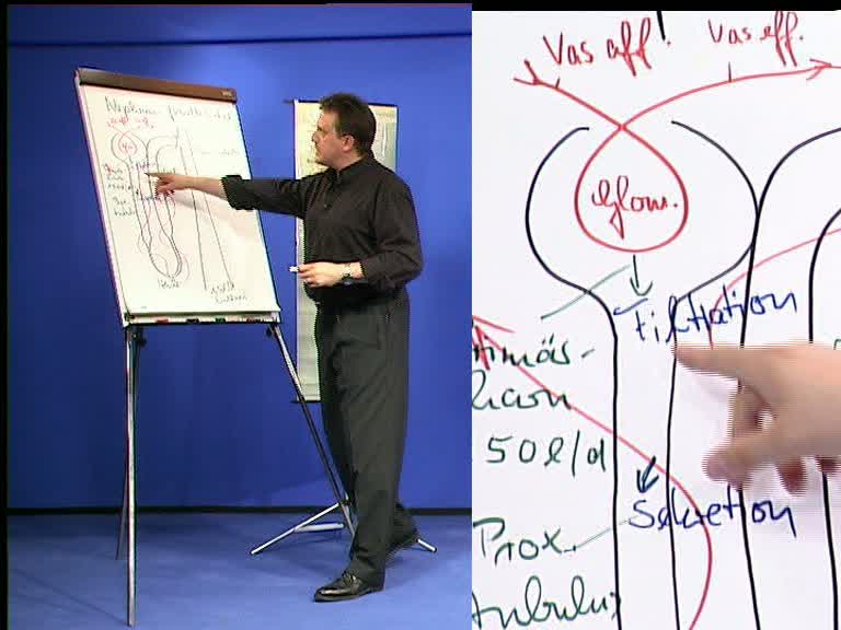 diffusion 