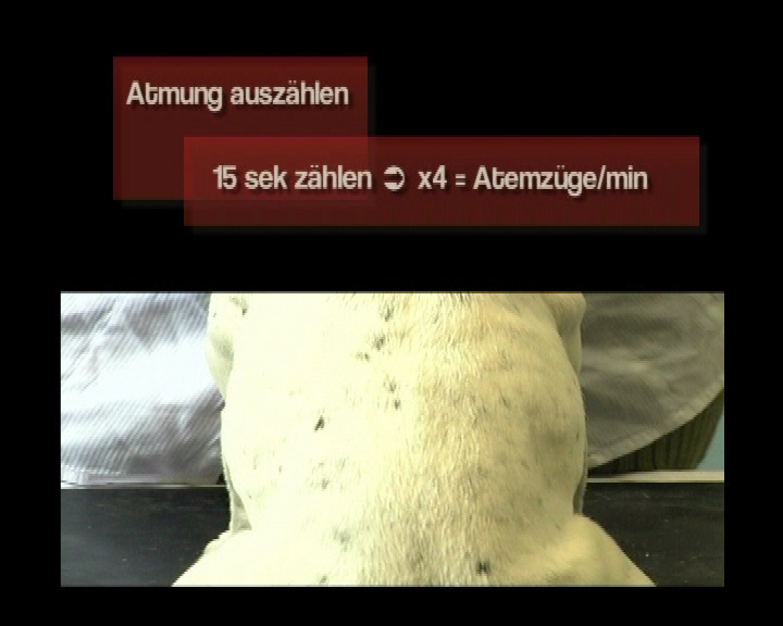 Atmung kontrollieren Atemzuege Brustkorb Atemmuskulatur Rippenbogen