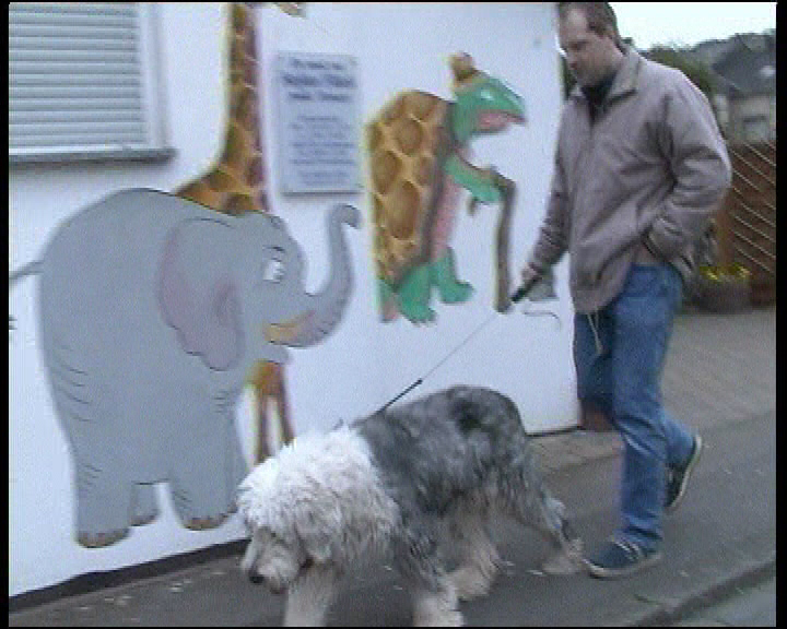 Hund Leine Fressen Strasse