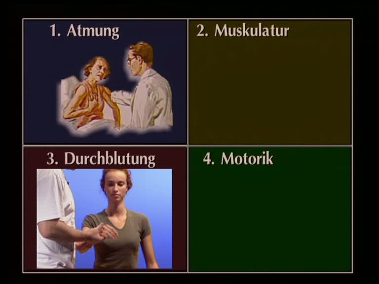 Atmung, Durchblutung,