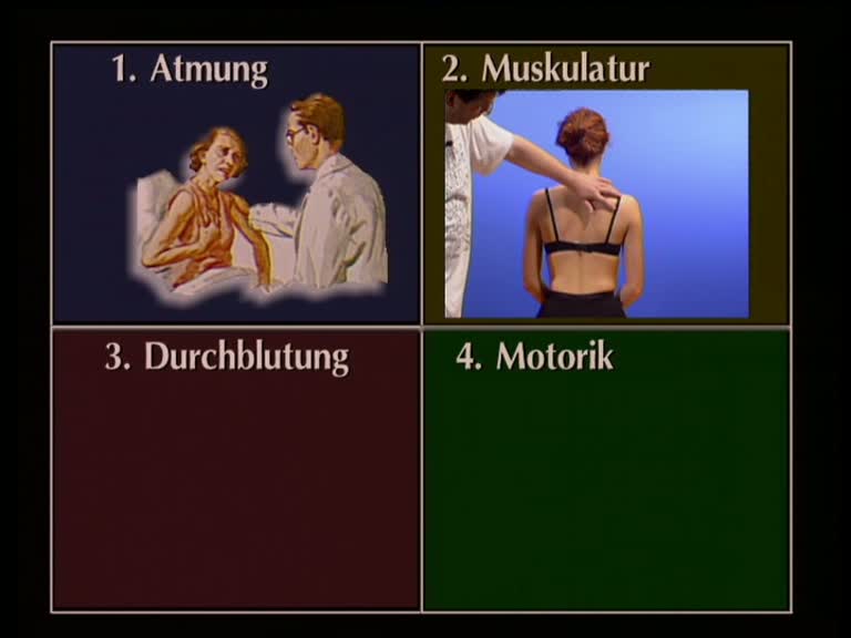 Muskulatur, Atmung
