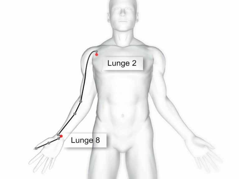 lungenmeridian