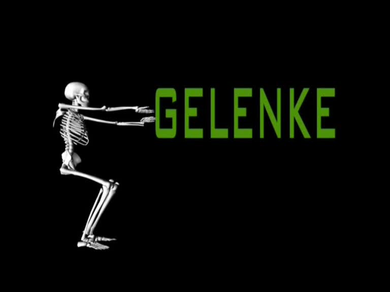gelenke