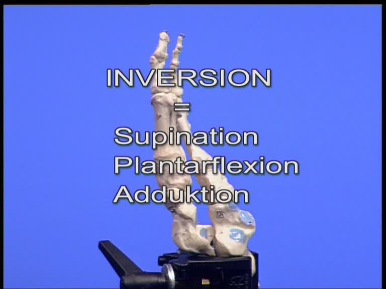 inversion adduktion