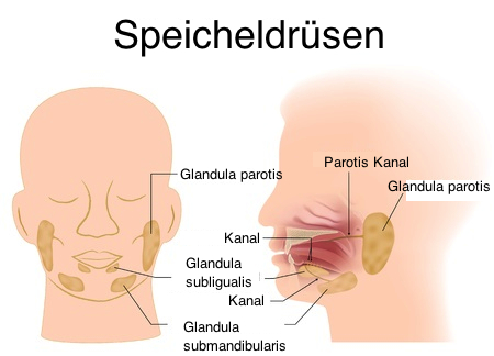 Pk-Dienstleistungen.net