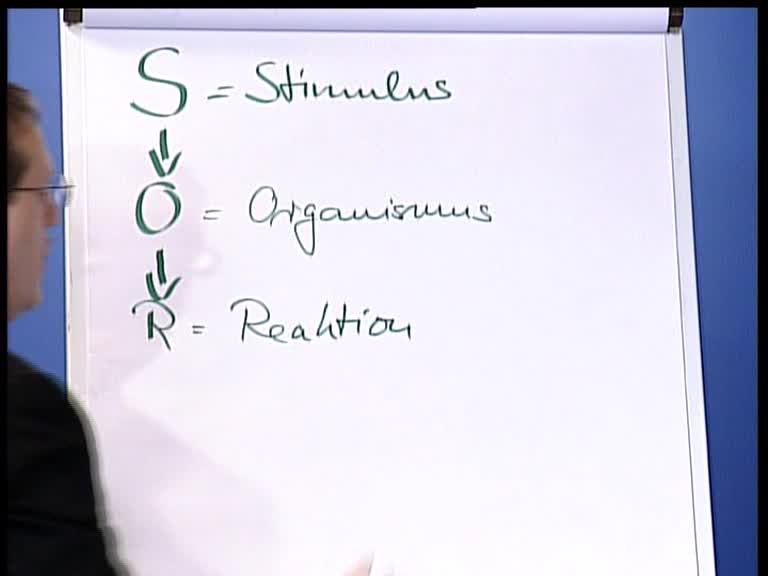 stimulus organismus reaktion