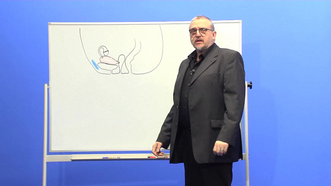 weibliche-geschlechtsorgane
