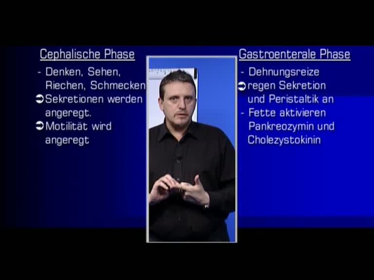 verdauung